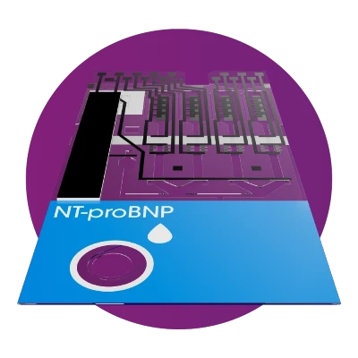 NT-proBNP Test**